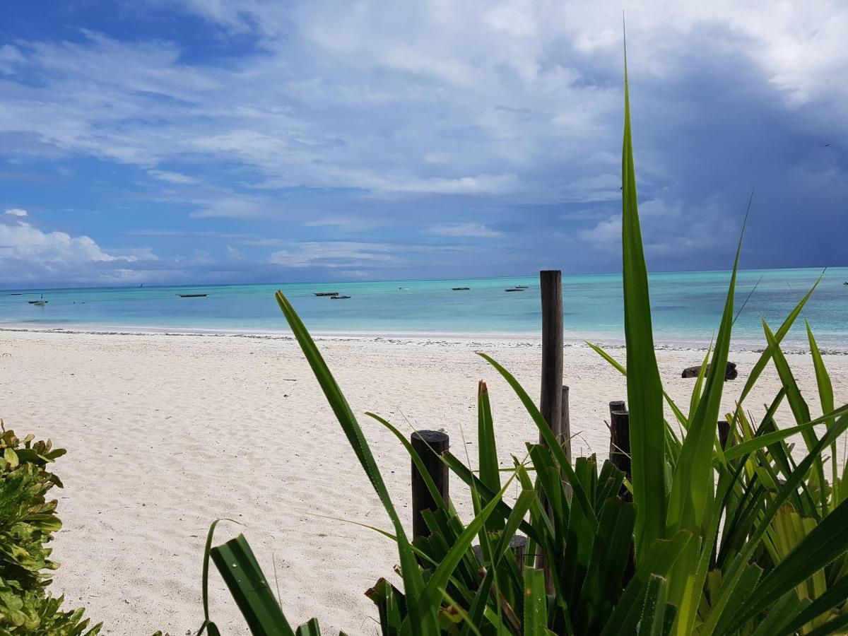 Meliks Hotel Jambiani  Luaran gambar